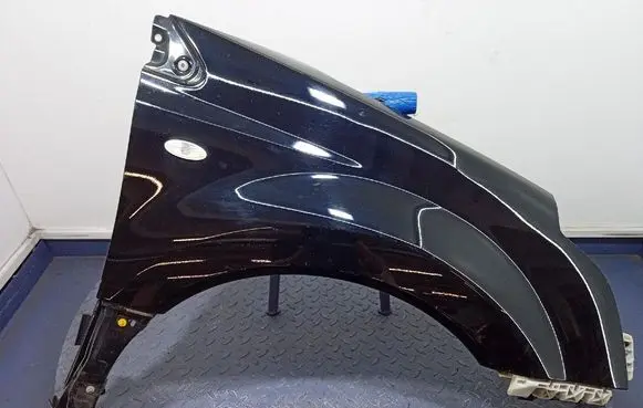 Renault Koleos I Fender