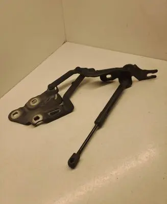 BMW X3 F25 Engine bonnet/hood hinges 7210730