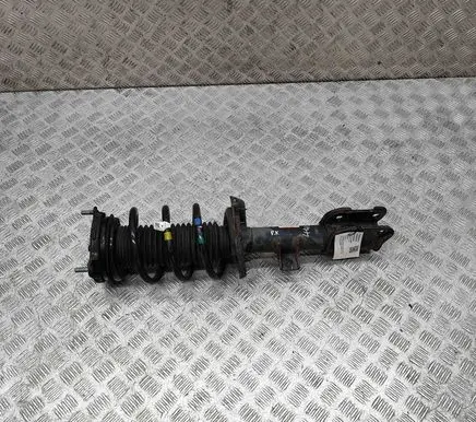 Hyundai Santa Fe Front shock absorber/damper 54650S1500