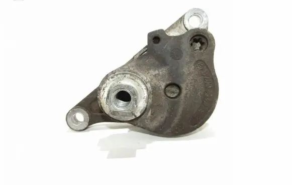 Nissan Qashqai+2 Alternator belt tensioner 8200941079