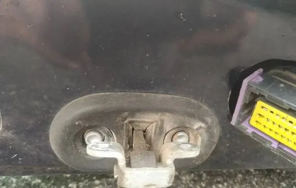 Fiat Croma Rear door check strap stopper