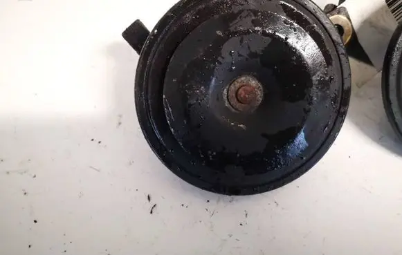 Ford Maverick Horn signal