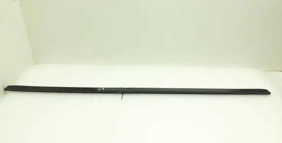 Mercedes-Benz CLS C219 Rubber seal front door (on door) A2197200378