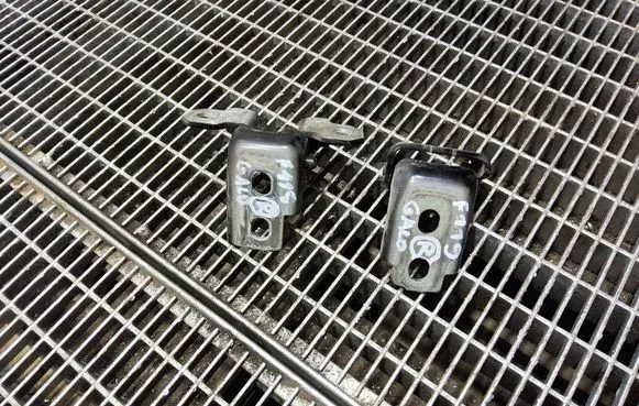 Renault Clio IV Rear door hinge set 