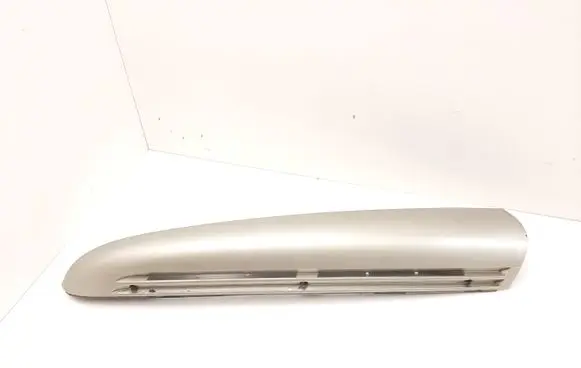 Rear/tail light trim molding