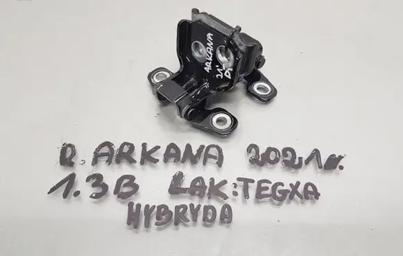 Renault Arkana Rear door hinge set 