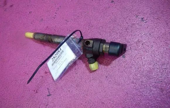 Renault Megane II Fuel injector 
