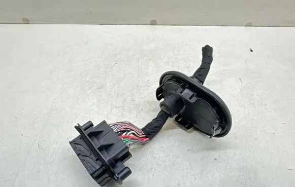 Renault Scenic IV - Grand scenic IV Front door wiring loom 242100011R