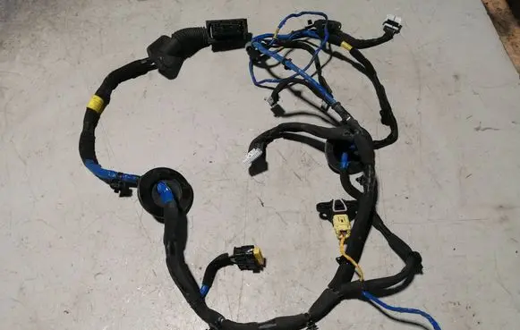 Hyundai Ioniq Front door wiring loom 91616G7580 95920F2100