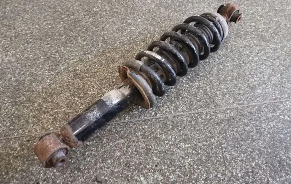 Citroen C6 Rear shock absorber with coil spring 