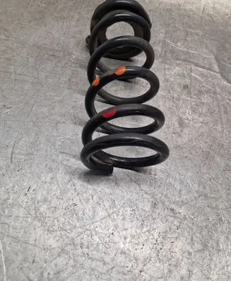 Rear coil spring