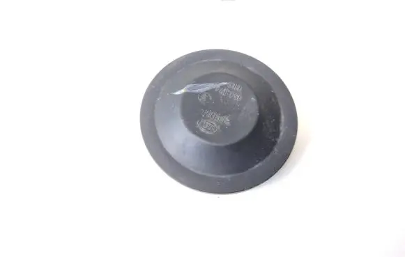 Volkswagen Jetta VI Headlight/headlamp dust cover 153873