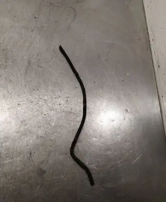 Hyundai Santa Fe Fuel return line/hose 