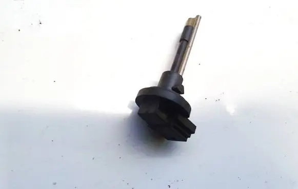 Interior temperature sensor