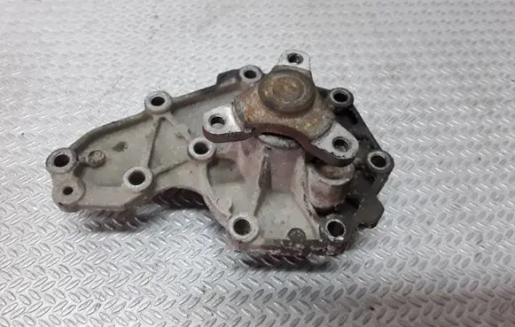 Renault Scenic I Water pump