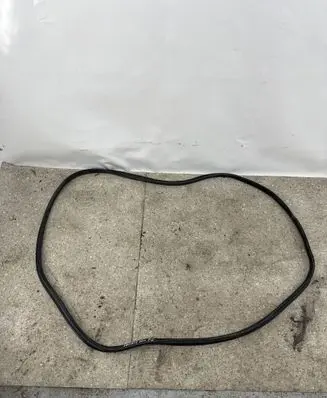 Hyundai Santa Fe Rubber seal front door (on door) 