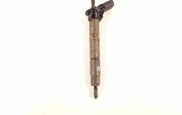 Mercedes-Benz R W251 Fuel injector 6420700587 6420701987