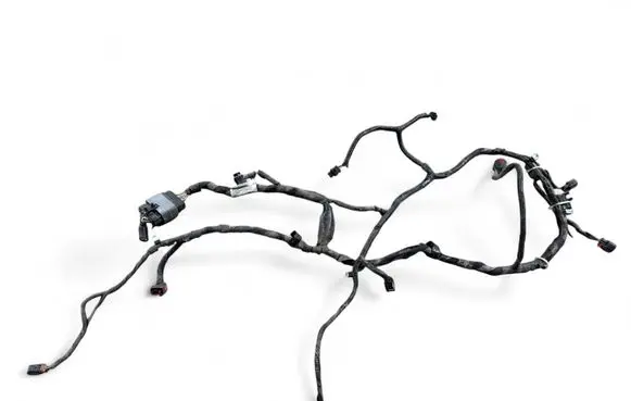Fisker Karma Wiring harness C131196701003