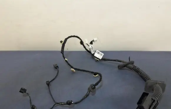 Other wiring loom