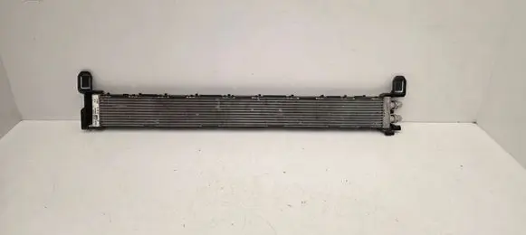 BMW X1 U11 Coolant radiator 9846881 251363 365804931