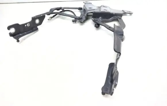 BMW X1 E84 Engine bonnet/hood hinges 2990360 2990359