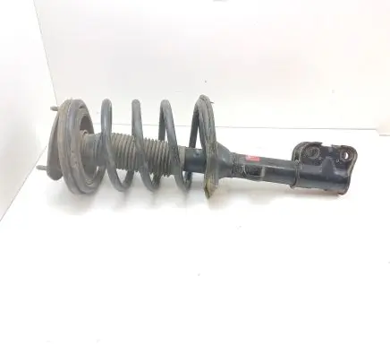 Hyundai Santa Fe Front shock absorber with coil spring 546502B200