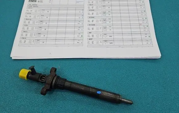 Citroen C5 Fuel injector EJBR06001D IMPRK1588250
