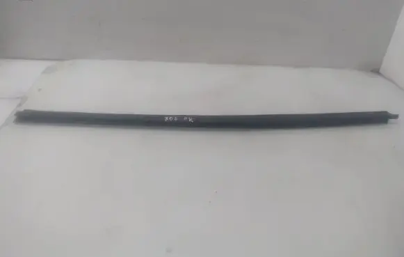 Peugeot 307 Windshield trim
