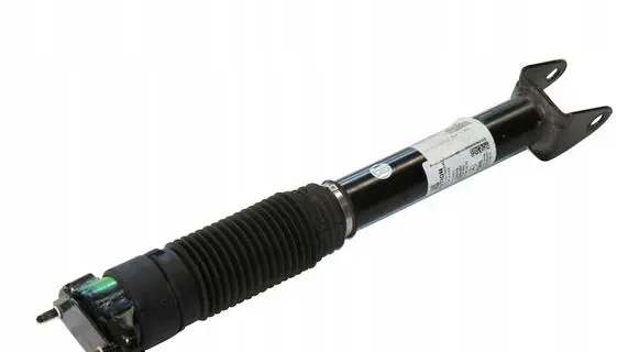 Mercedes-Benz ML W163 Rear shock absorber/damper A1663202030