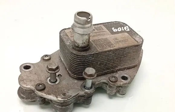 Opel Astra K Engine oil radiator 644029084 55509149 182690237