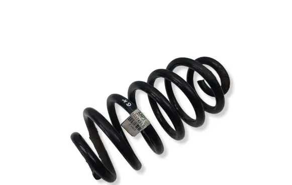 Opel Mokka Rear coil spring 95107103