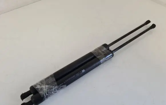 Renault Modus Tailgate/trunk strut/damper 8200461349