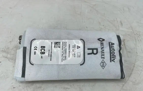 Renault Megane E-Tech Seat airbag 0080P1110013