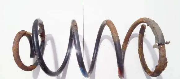 Ford Focus Front coil spring