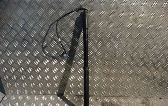 Porsche Panamera (970) Tailgate strut 97051257304
