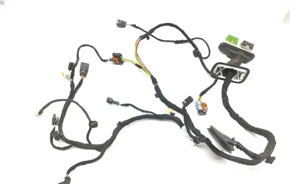 Front door wiring loom