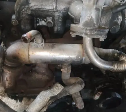 Ford Focus EGR valve cooler