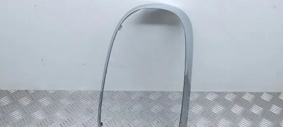 Rear/tail light trim molding