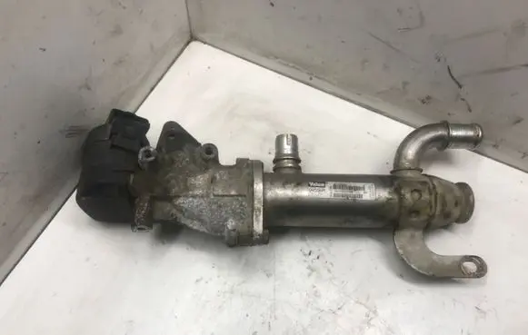 Peugeot 406 EGR valve cooler 9645689780 X51134 875816W