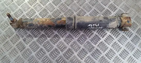Rear shock absorber/damper