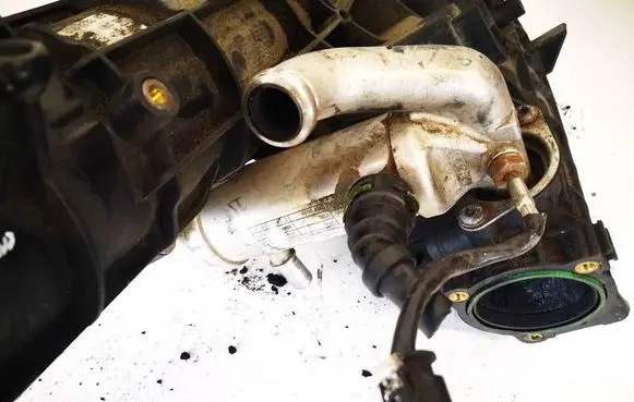 EGR valve cooler