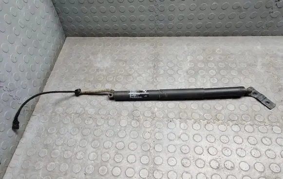 Tailgate/trunk strut/damper