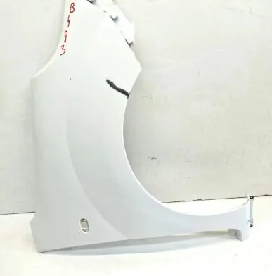 Renault Kangoo II Fender 631003601R