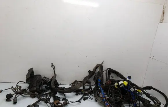 Hyundai ix 55 Engine installation wiring loom 919503J021 912013J092