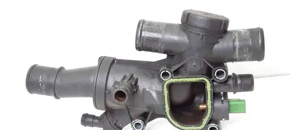Thermostat/thermostat housing