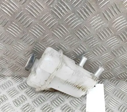 Toyota RAV 4 (XA50) Coolant expansion tank/reservoir G910G42010