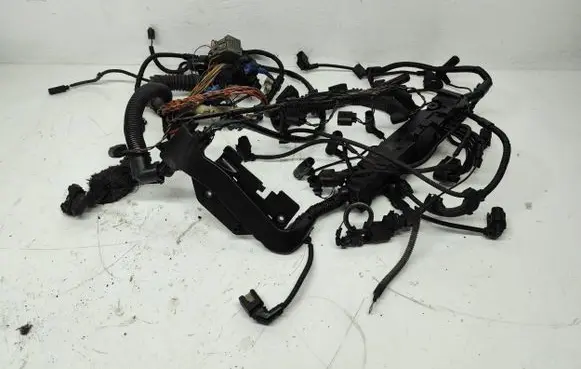 Engine installation wiring loom