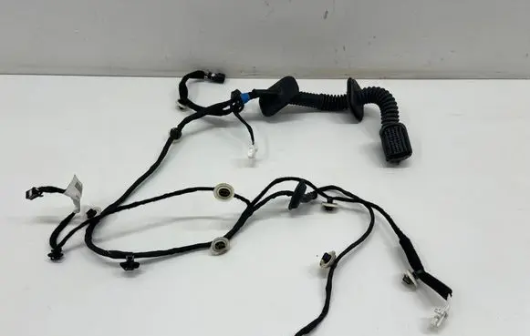 Renault Captur II Front door wiring loom 241251405R