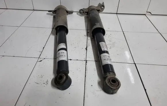 Opel Insignia A Rear shock absorber/damper 315439 30M69A 814902006942