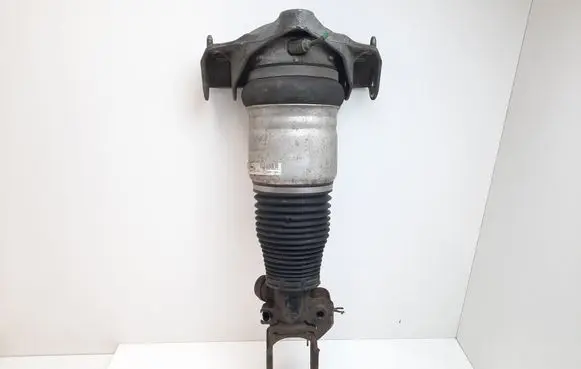 Porsche Cayenne (9PA) Air suspension front shock absorber 7L5412022BB